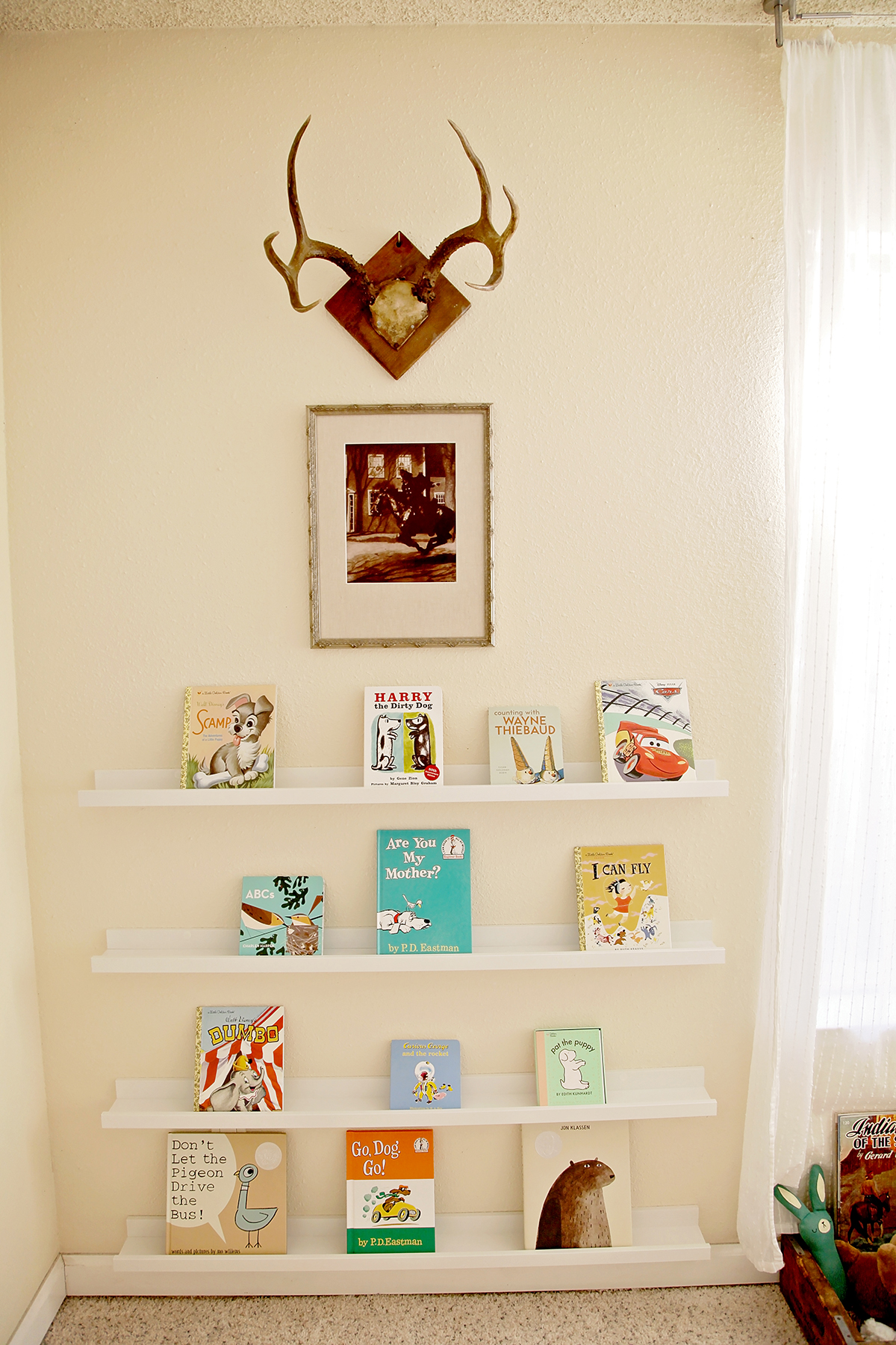 Display Book Shelf