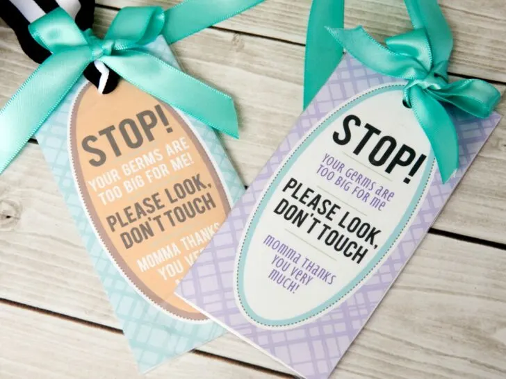 Free Printable Car Seat Tag