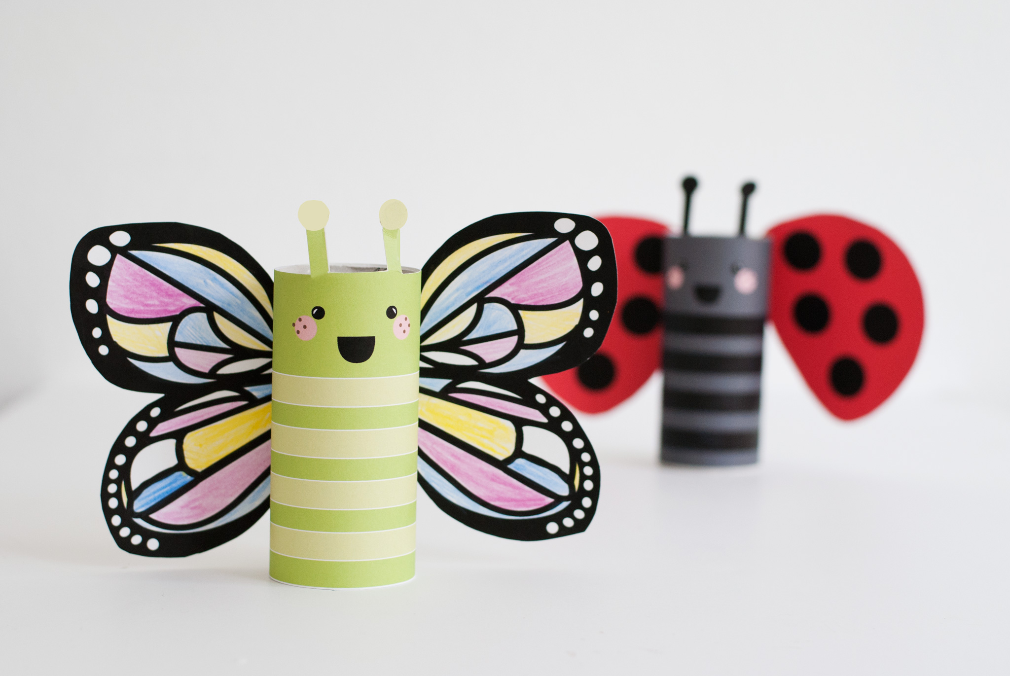 DIY Butterfly and Ladybug Kids Craft