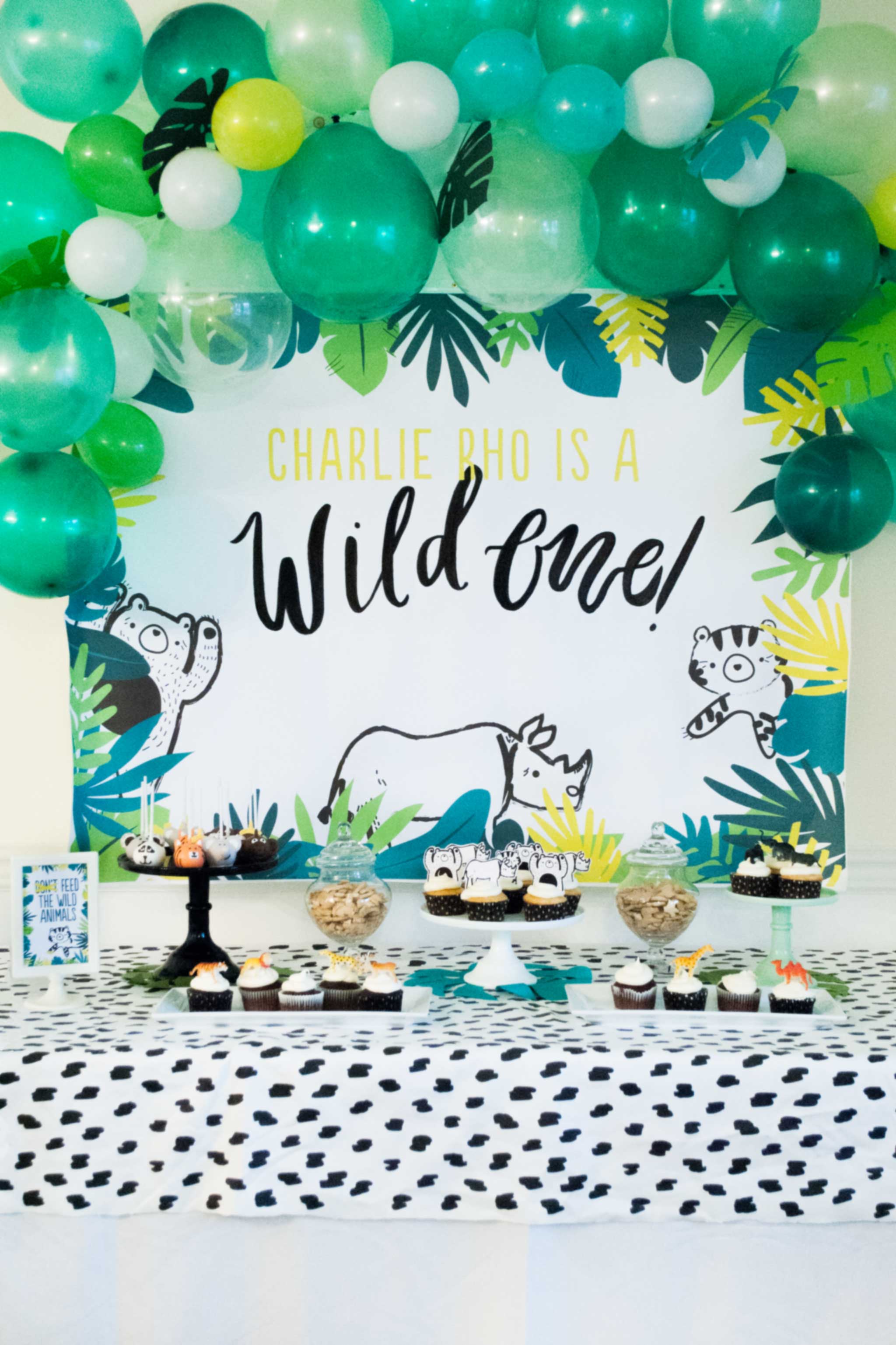 Wild One Birthday Party