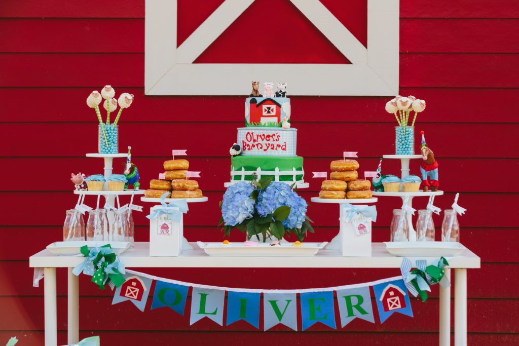 Barnyard-Themed Birthday Party - Project Nursery