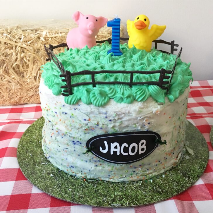 Barnyard Birthday Party Cake