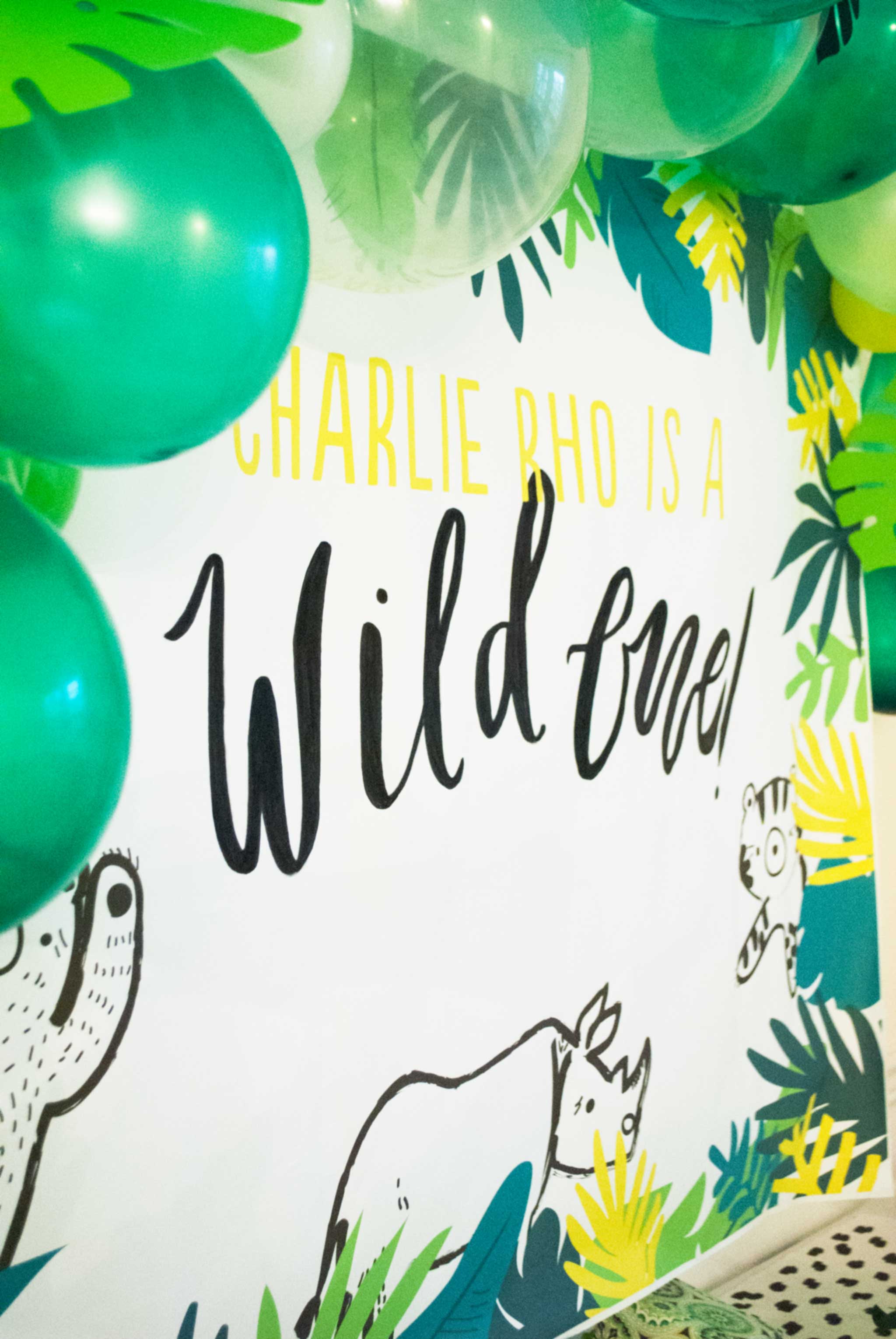 Wild One Birthday Party