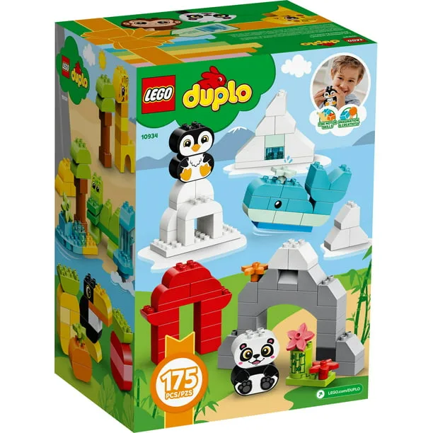 Duplo Bricks Large Set